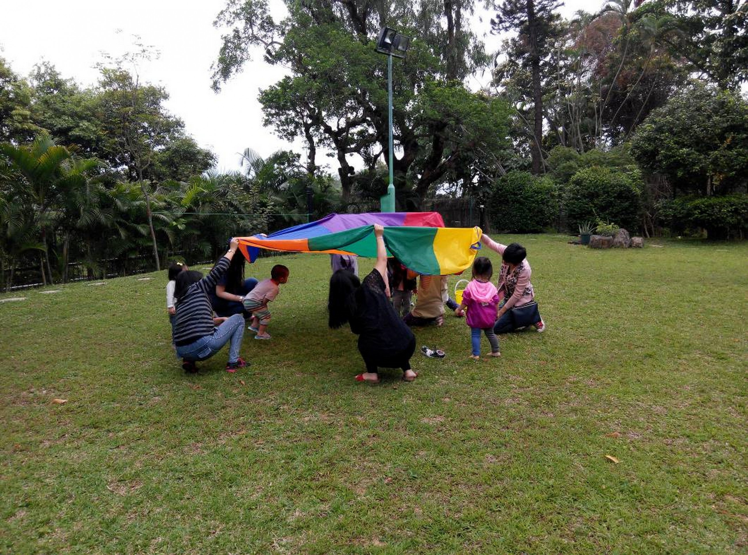 不同的家庭及家庭成員正在草地上進行家庭活動及群體遊戲。